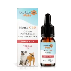 huile cbd chien