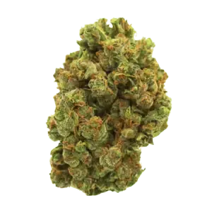 mango haze premium