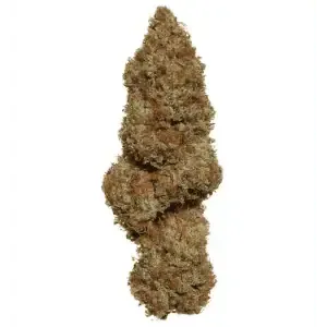 california orange bud cbd