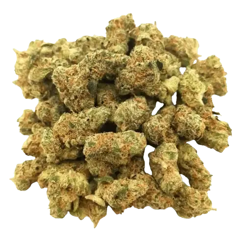 small buds orange bud