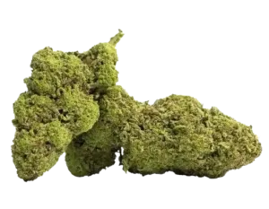 fleur cbd master kush legendary