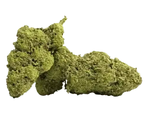 fleur cbd master kush legendary