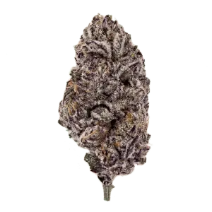 fleur cbd purple punch