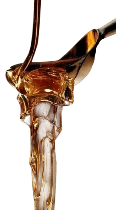 image categorie huile cbd