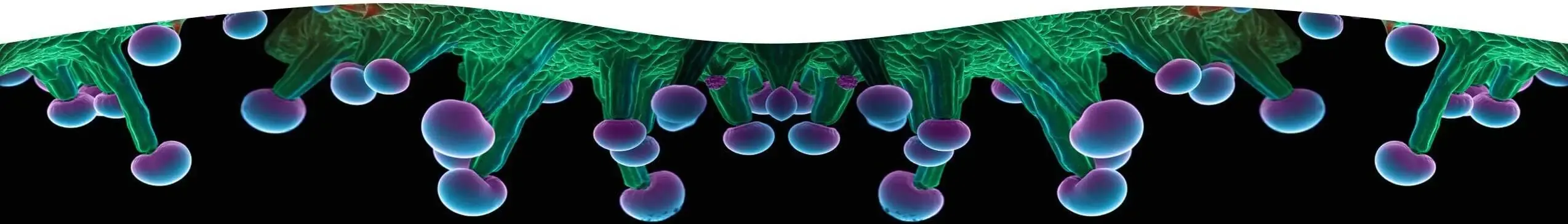 cannabis trichomes botany deltaX THCP HHC