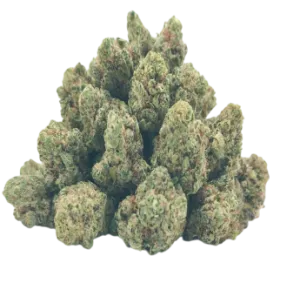 bubble gum small buds CBD