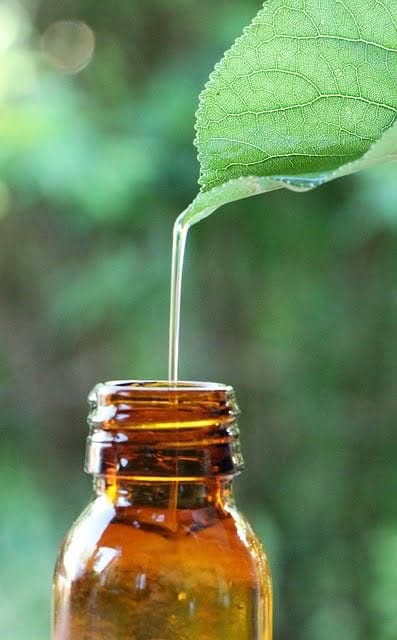 huile cbd
