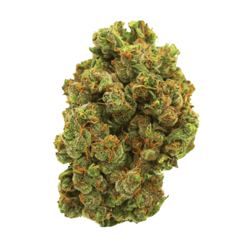 mango haze premium