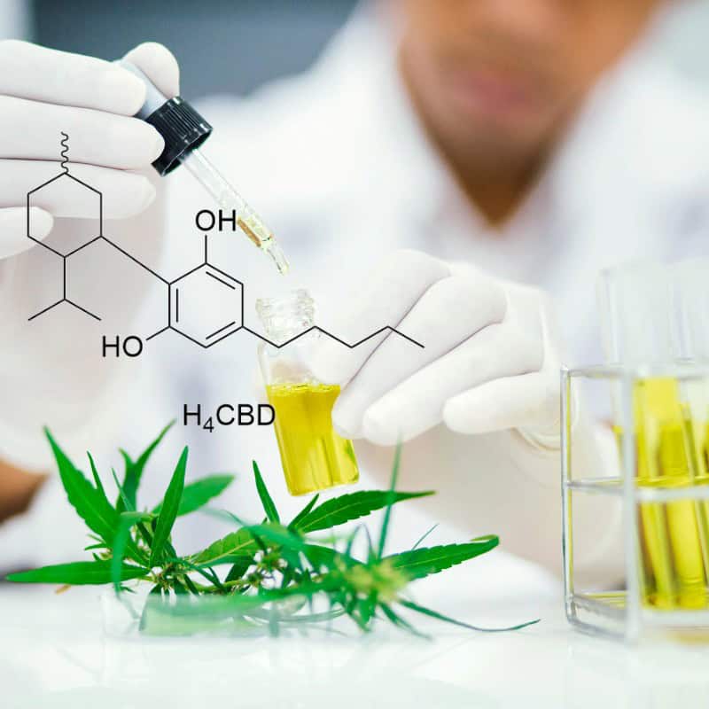 h4cbd