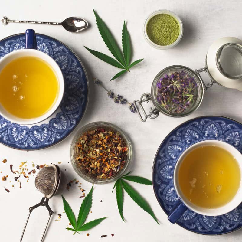 infusion au cbd