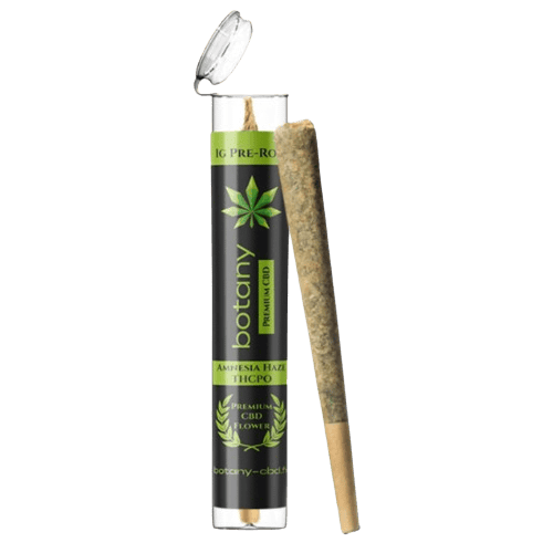 pre roll amnesia thcp