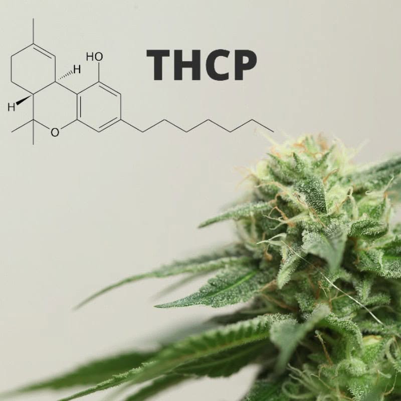 thcp