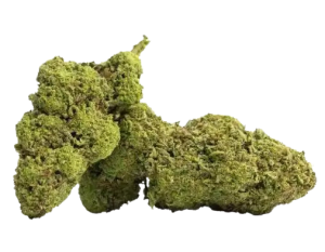 fleur cbd master kush legendary