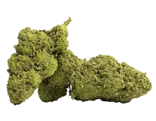fleur cbd master kush legendary