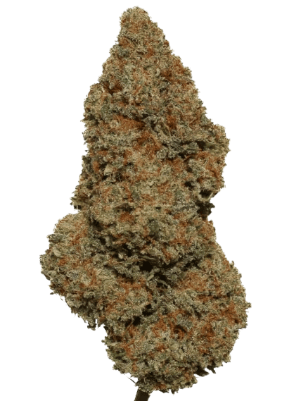 super skunk 10oh