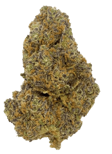 fleur euphoria thx