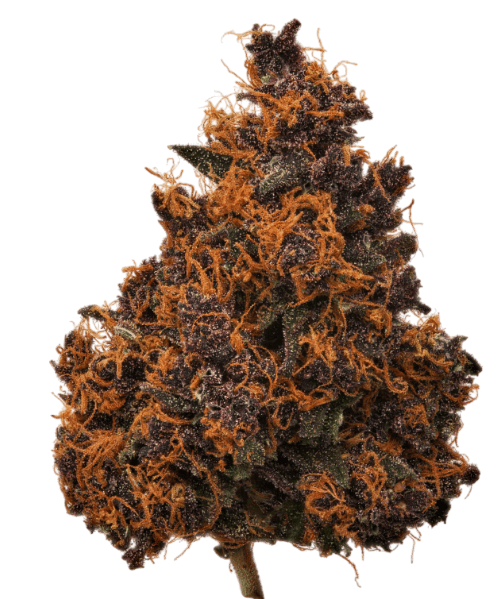 image categorie cbd pas cher