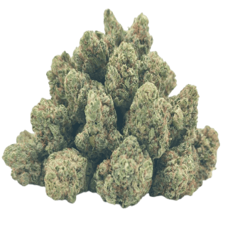 bubble gum small buds CBD
